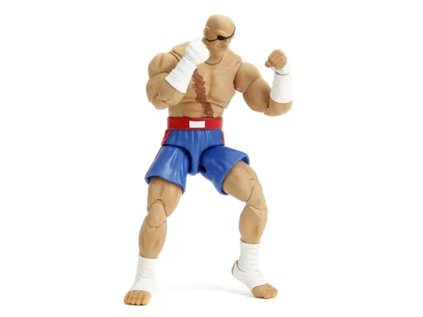 Sagat 7.5" Moveable Figure with Accessories and Alternate Head and Hands "Ultra Street Fighter II: The Final Challengers" (2017) Video Game Model by Jada #2