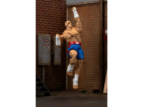 Sagat 7.5" Moveable Figure with Accessories and Alternate Head and Hands "Ultra Street Fighter II: The Final Challengers" (2017) Video Game Model by Jada #5